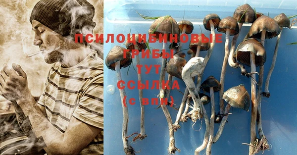 синтетический гашиш Бронницы