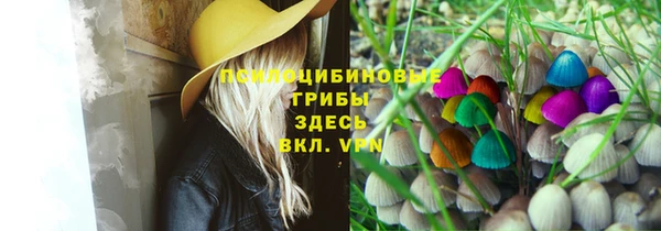 ешки Белоозёрский