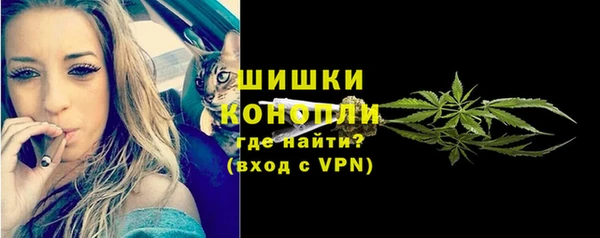 гидропоника Бородино