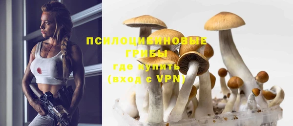 гидропоника Бородино
