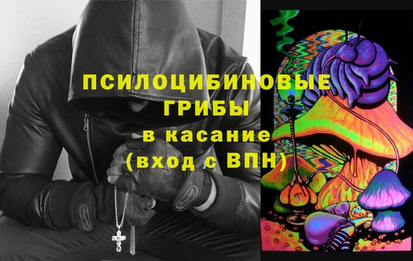 гидропоника Бородино