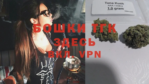 гидропоника Бородино