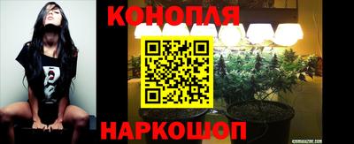 мяу мяу мука Братск