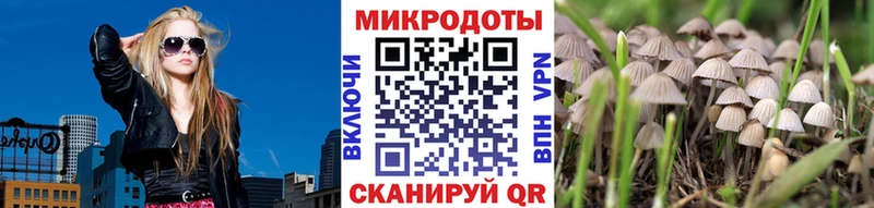 Галлюциногенные грибы прущие грибы  Видное 
